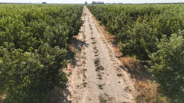 $2,030,000 | 16929 Louise Avenue, Escalon, CA 95320