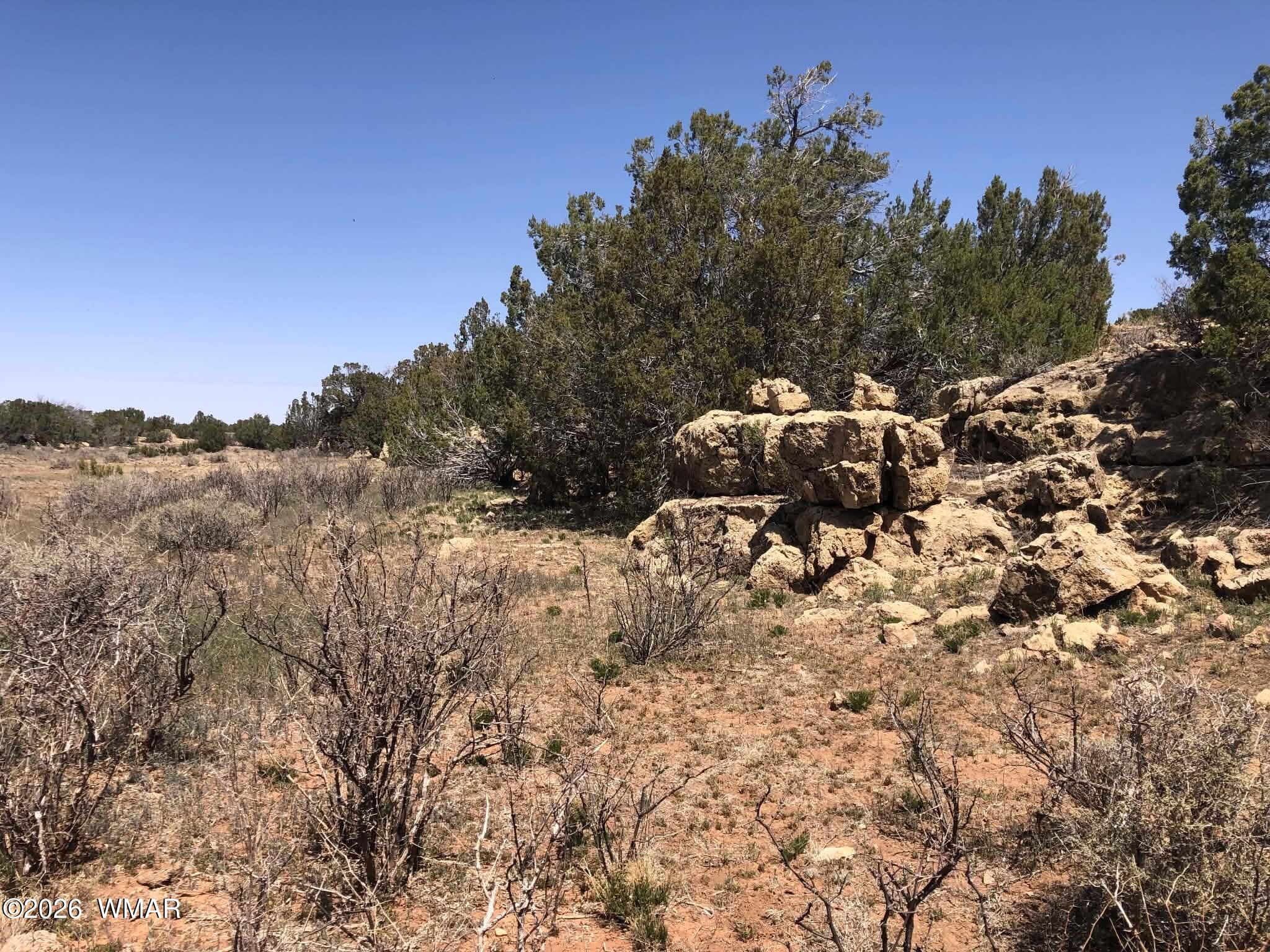 785 Twin Tanks Road Heber, AZ 85928 - Photo 5 of 39