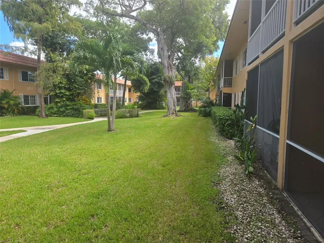 a view of a yard with plants and large trees
