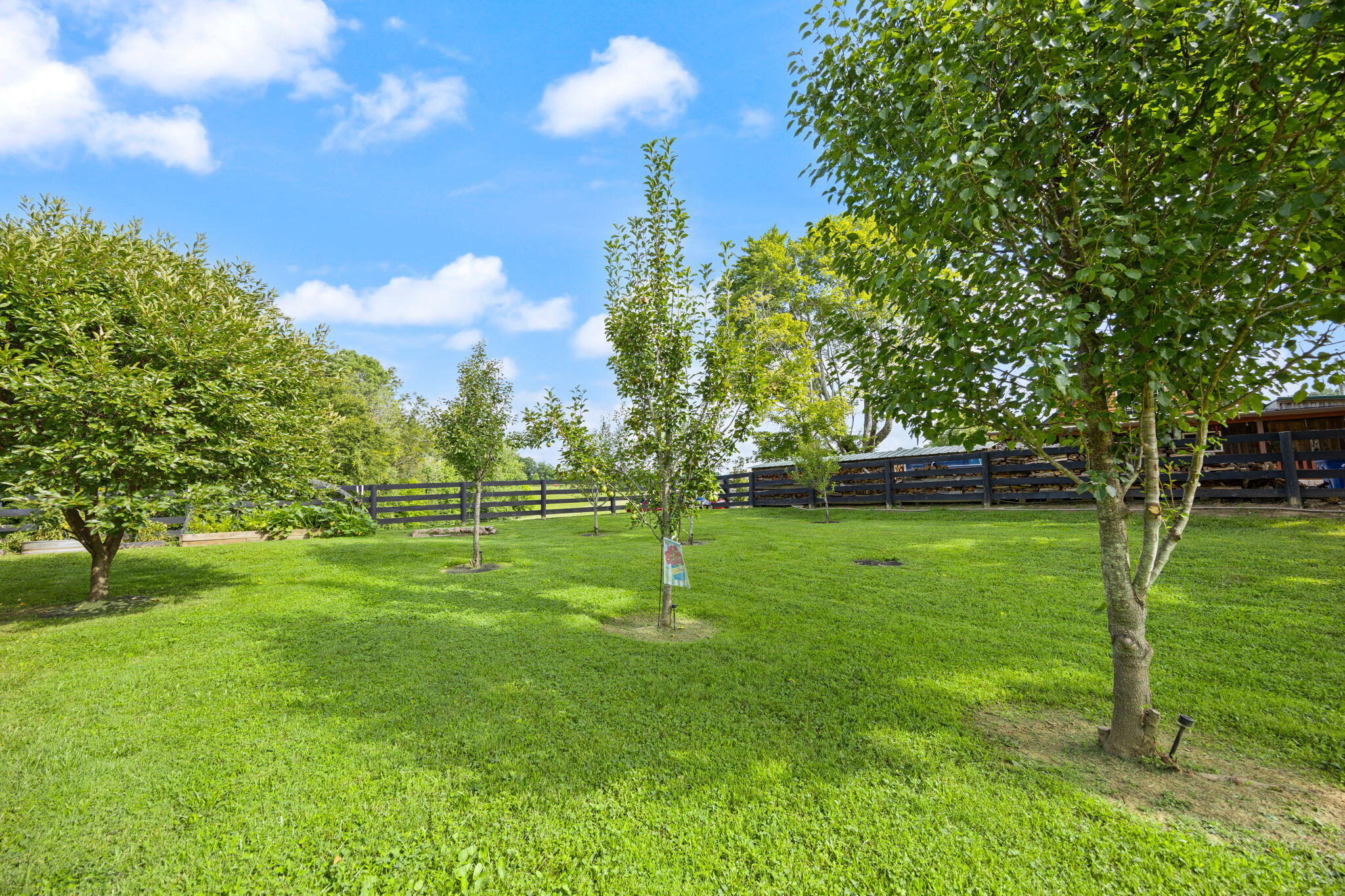 1310 Hopefull School Road Nancy, KY 42544 - Photo 20 of 84 41-web-or-mls-413A4864