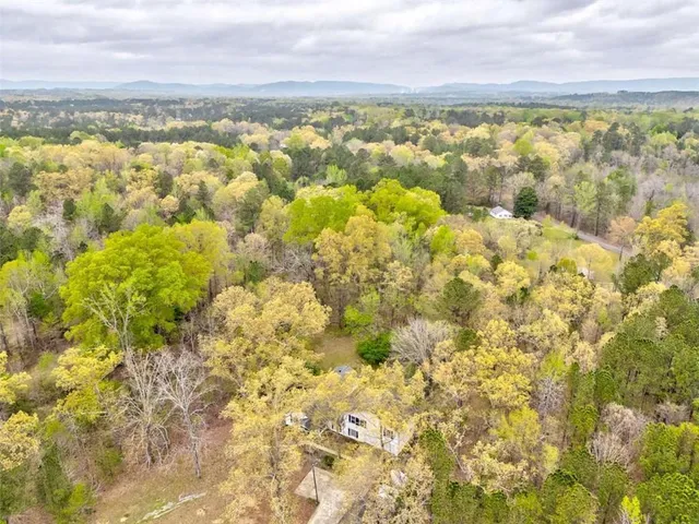 a view of yard with wooden floor