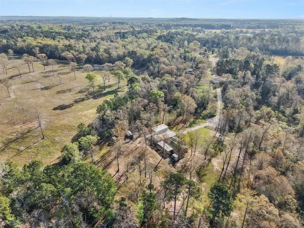 an aerial view of forest