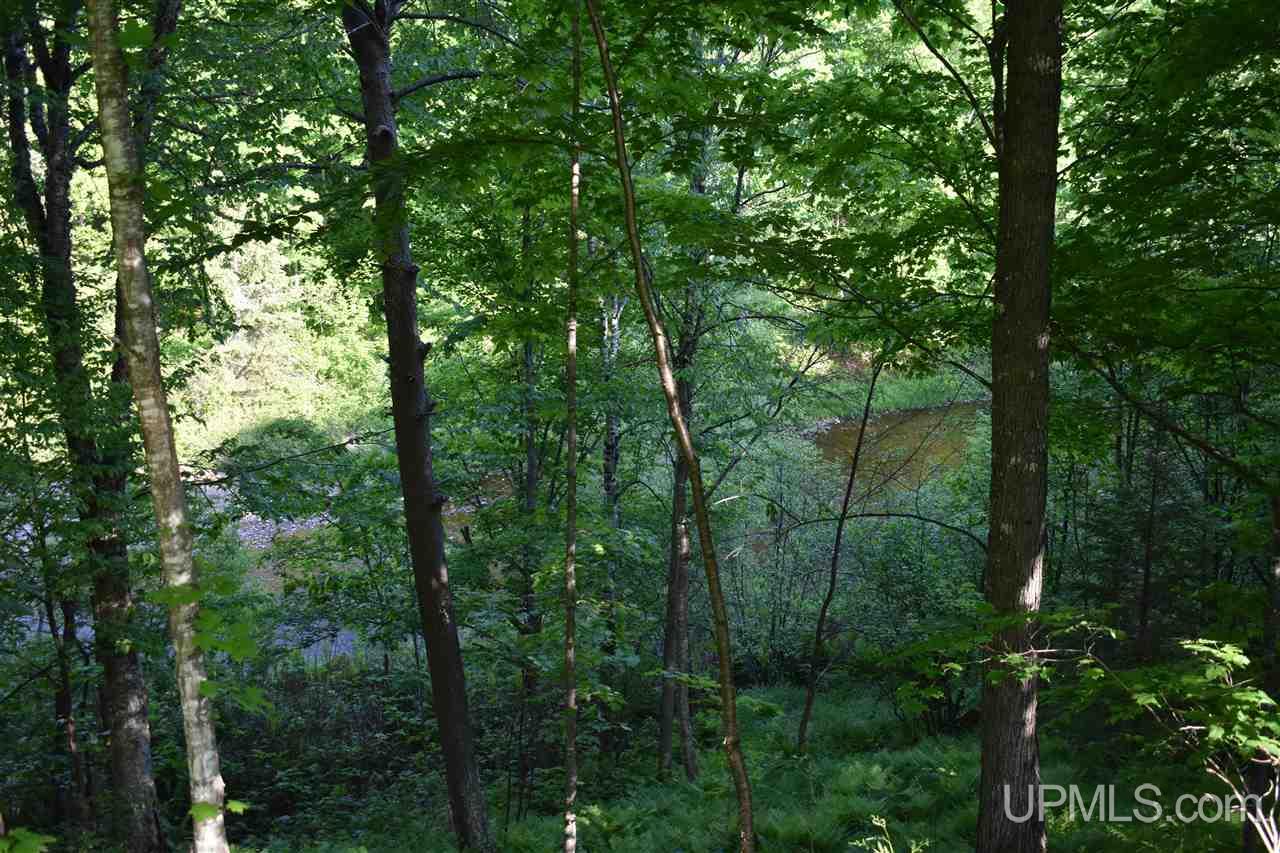 12651 Goodreau Road Skanee, MI 49962 - Photo 38 of 50 Gallery Image 38