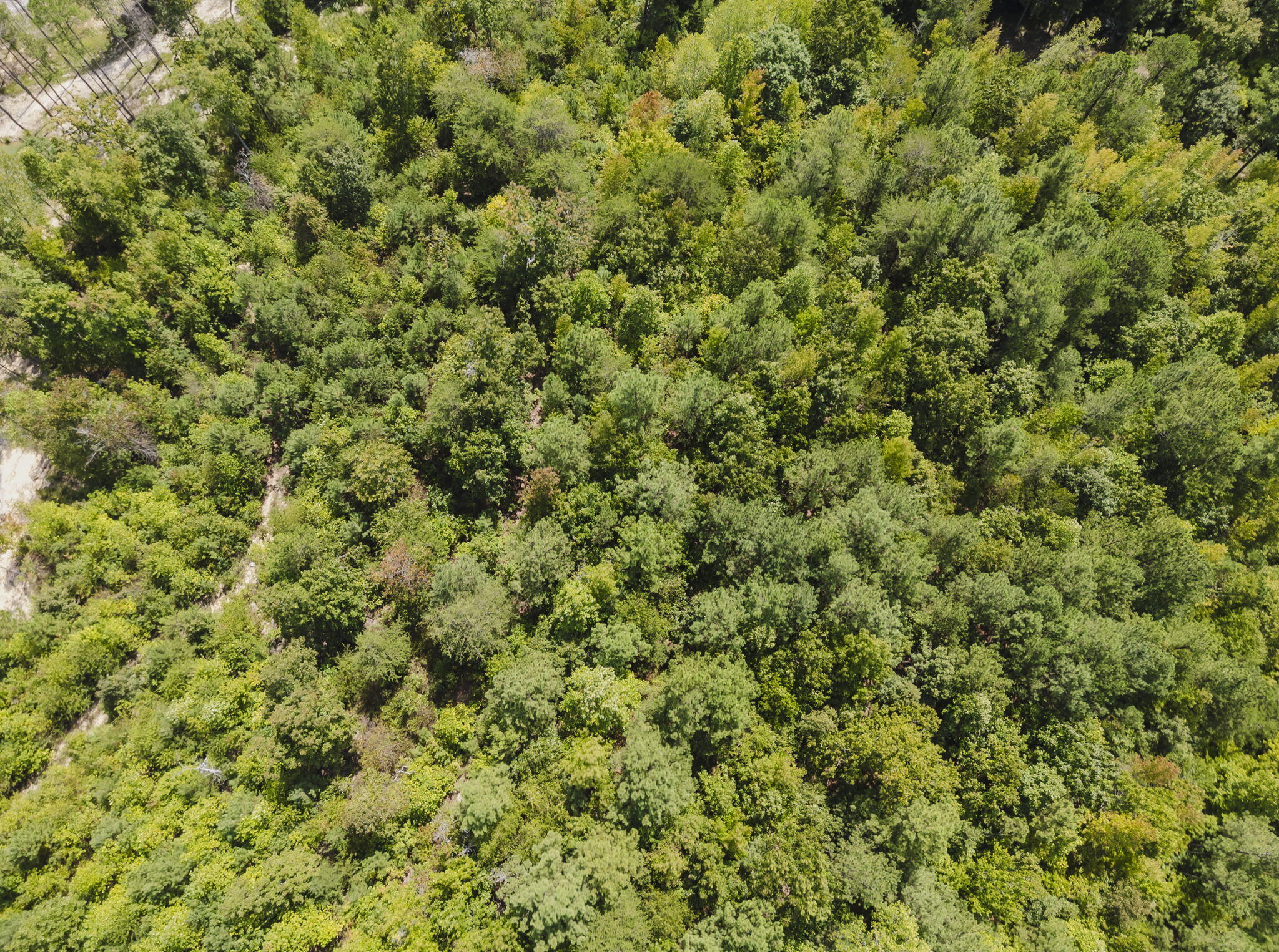 293 Reo Road Rocky Face, GA 30740 - Photo 12 of 13 8-web-or-mls-DJI_0126-HDR