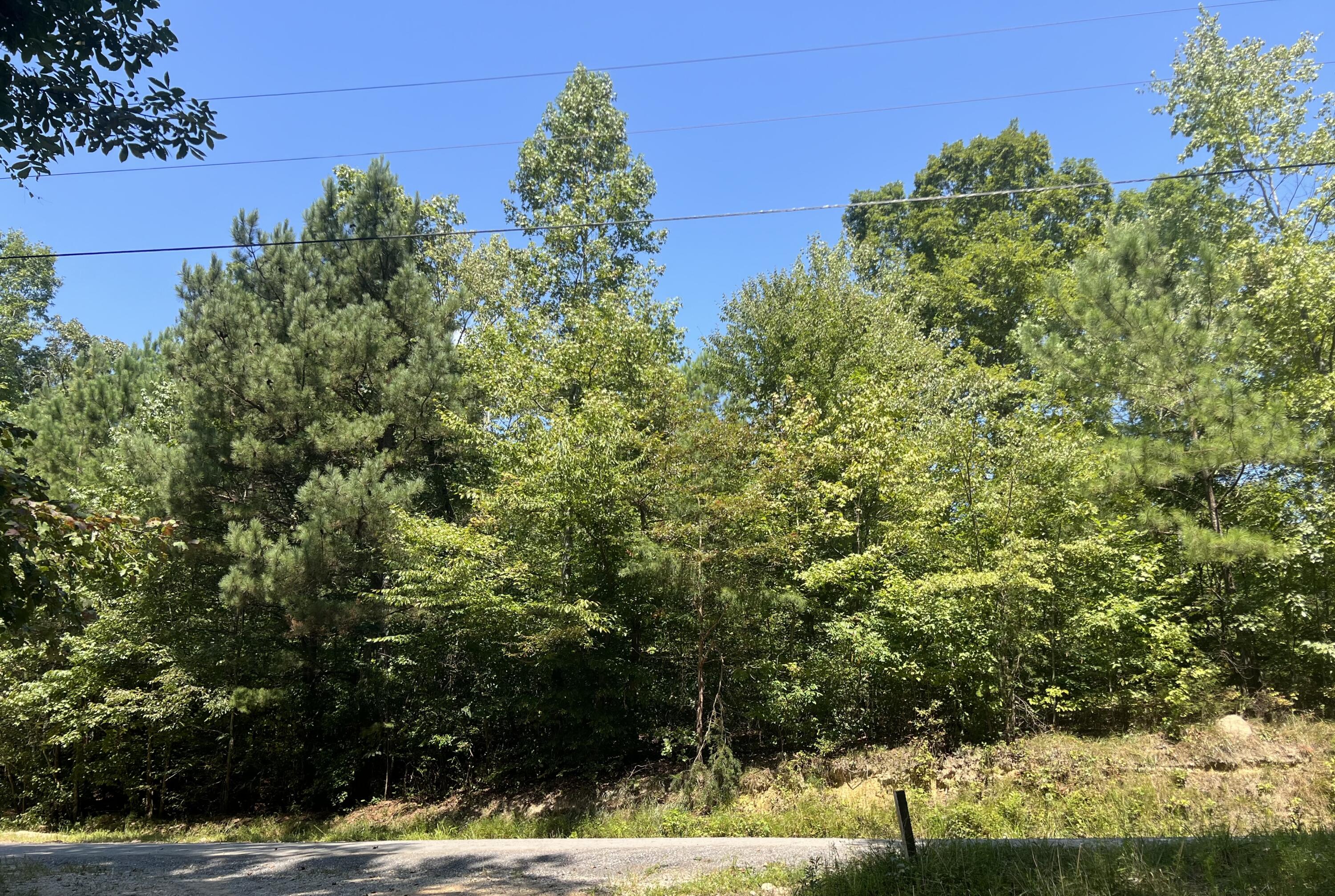 293 Reo Road Rocky Face, GA 30740 - Photo 2 of 13 IMG_8946