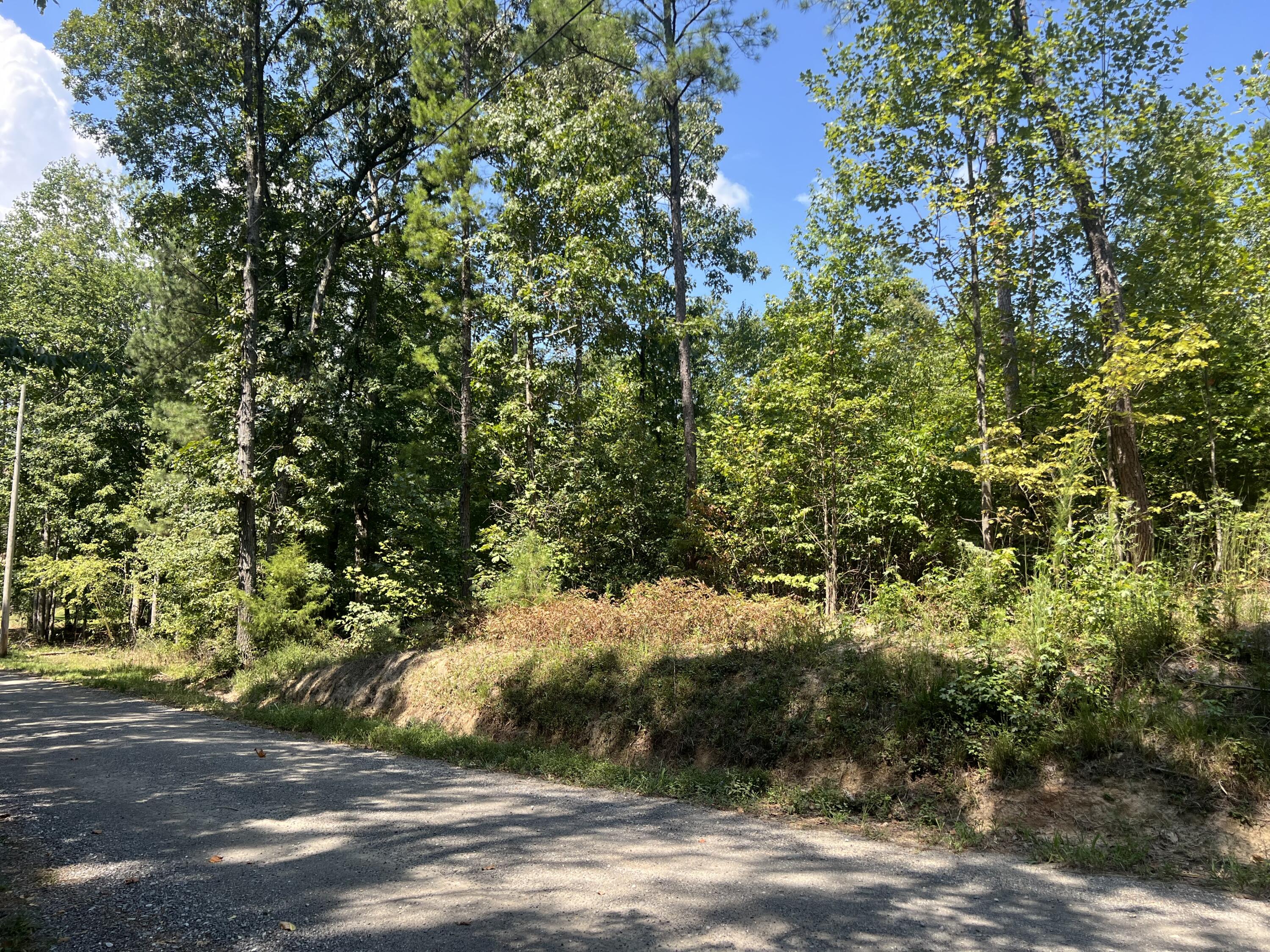 293 Reo Road Rocky Face, GA 30740 - Photo 3 of 13 IMG_8947