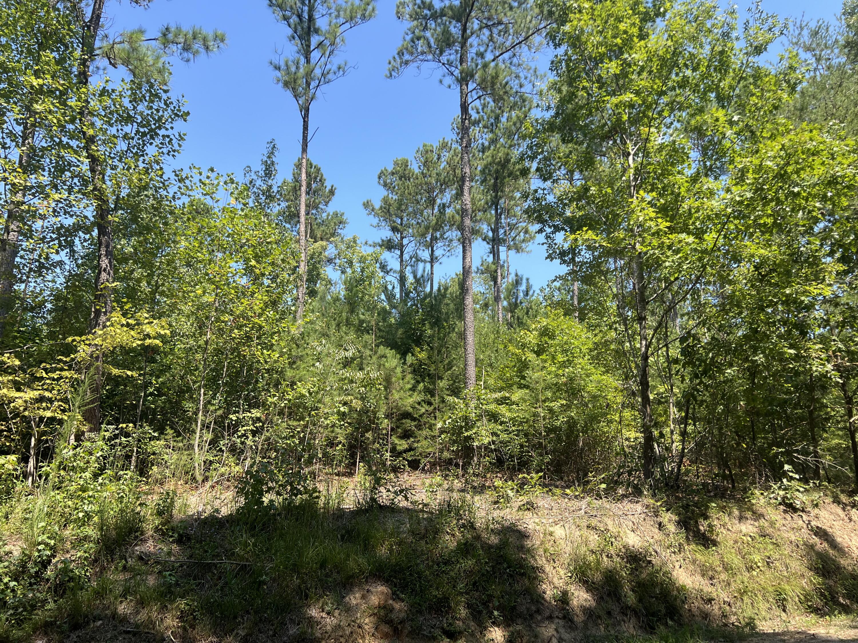 293 Reo Road Rocky Face, GA 30740 - Photo 4 of 13 IMG_8948