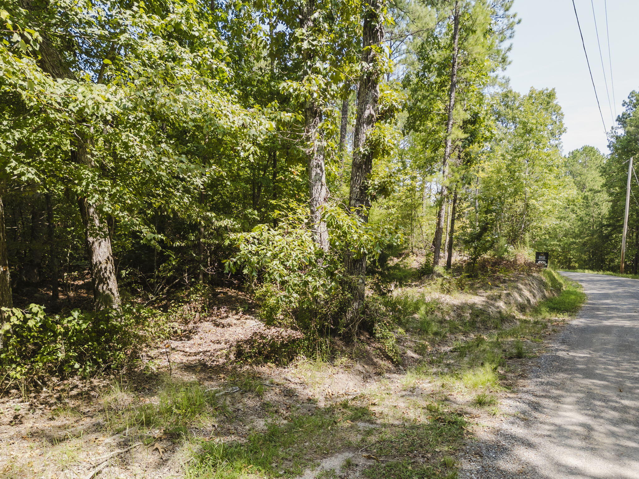 293 Reo Road Rocky Face, GA 30740 - Photo 5 of 13 1-web-or-mls-DJI_0104-HDR