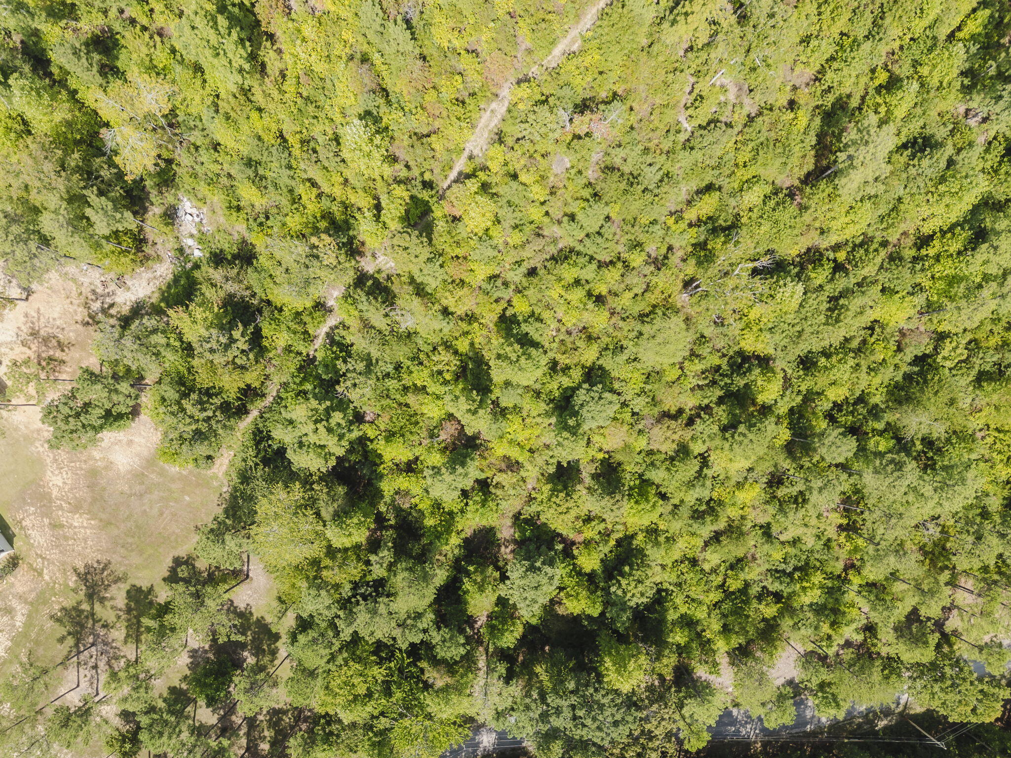 293 Reo Road Rocky Face, GA 30740 - Photo 6 of 13 2-web-or-mls-DJI_0107-HDR