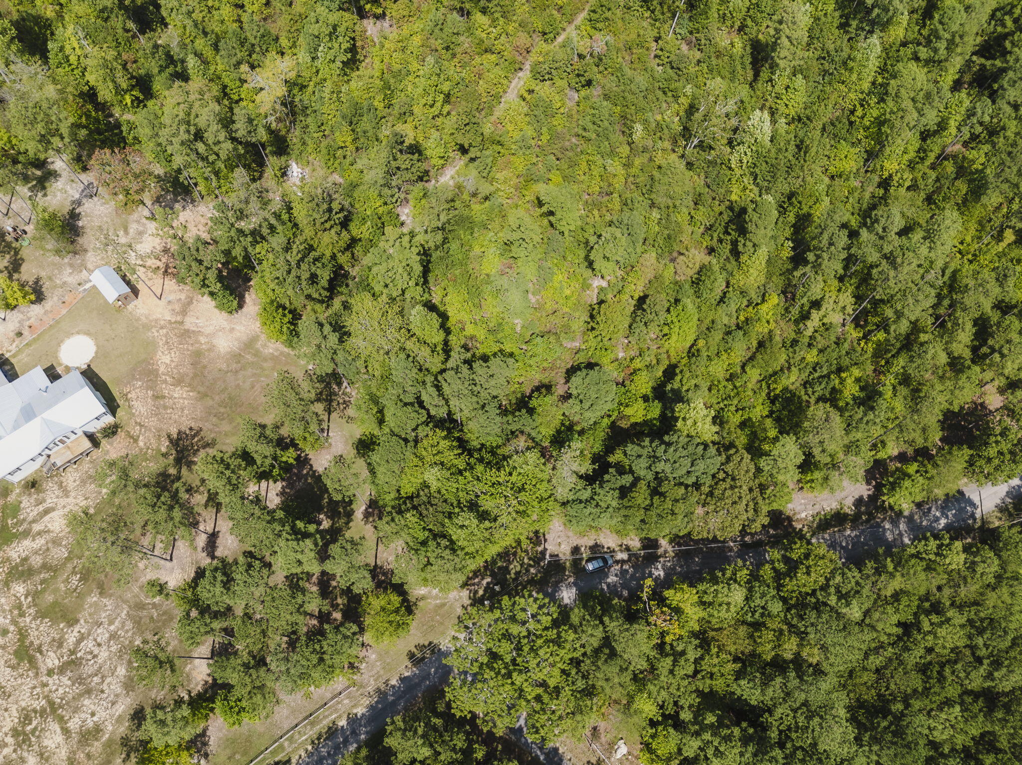 293 Reo Road Rocky Face, GA 30740 - Photo 7 of 13 3-web-or-mls-DJI_0109-HDR