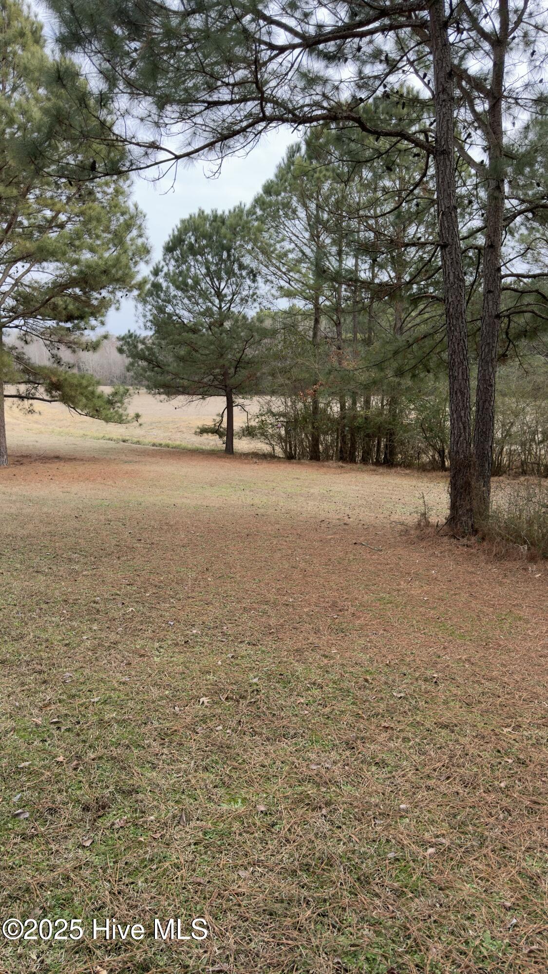 120 Bull Hill Road Windsor, NC 27983 - Photo 20 of 64 tempImageV5QA6I