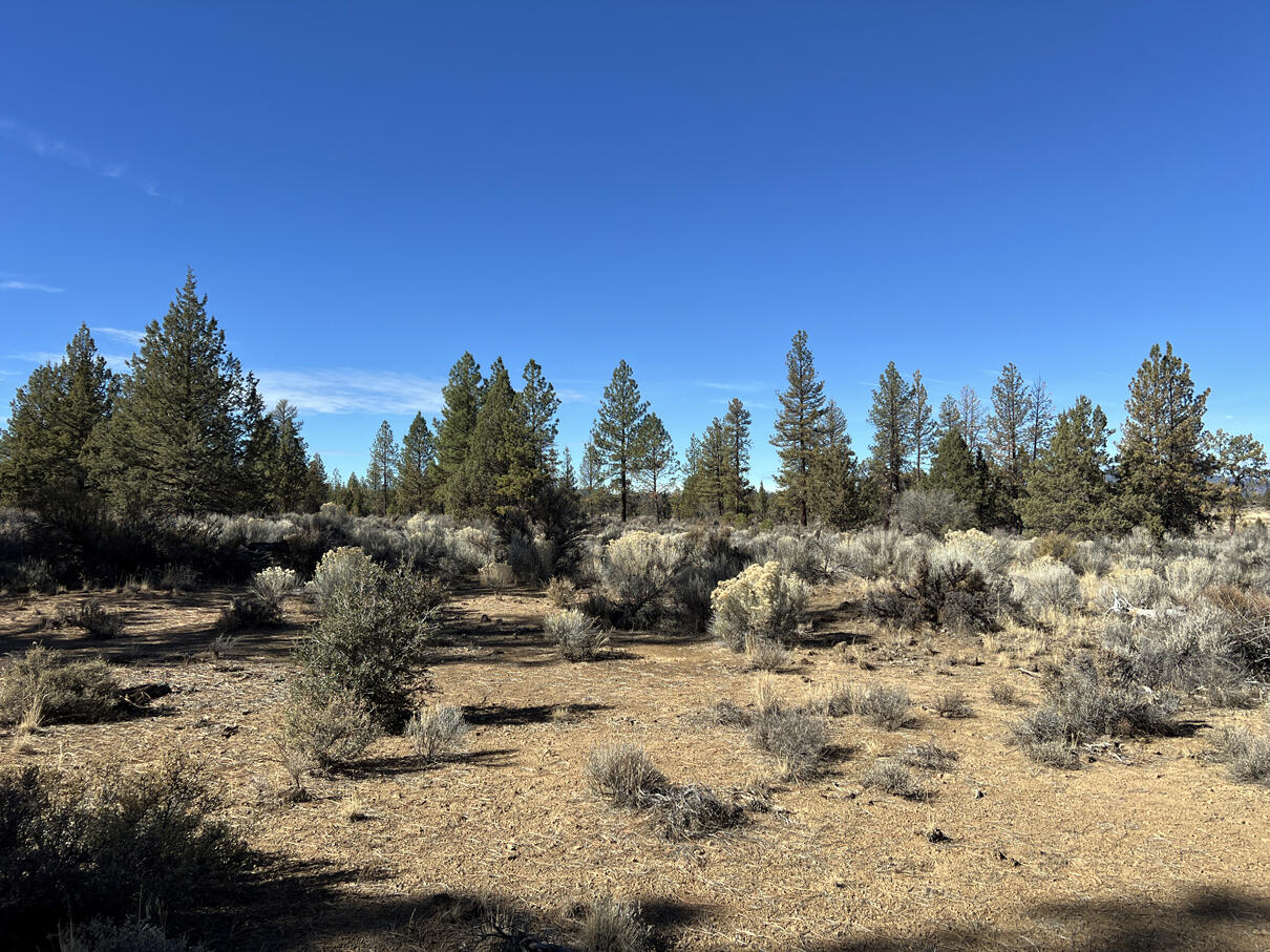 Oregon Pines Road, Unit TL 600 Sprague River, OR 97639 - Photo 28 of 52 IMG_4315