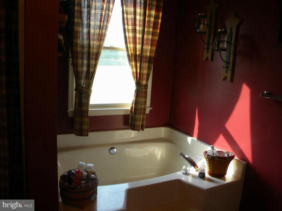 307 Ebenezer Church Road Winchester, VA 22603 - Photo 12 of 29 Bath (Master)
