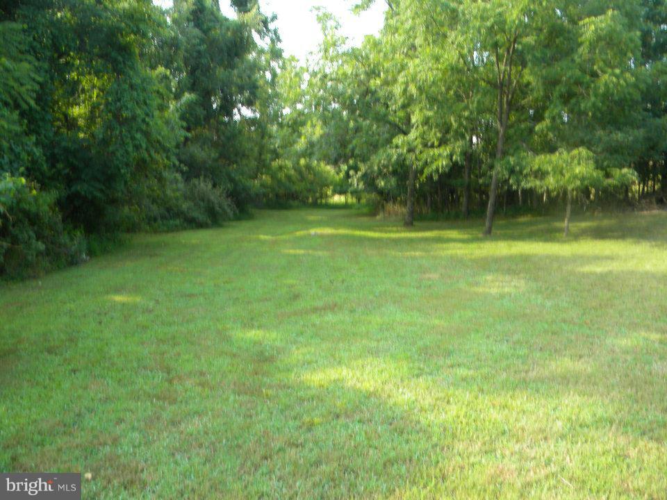 307 Ebenezer Church Road Winchester, VA 22603 - Photo 18 of 29 Exterior (General)
