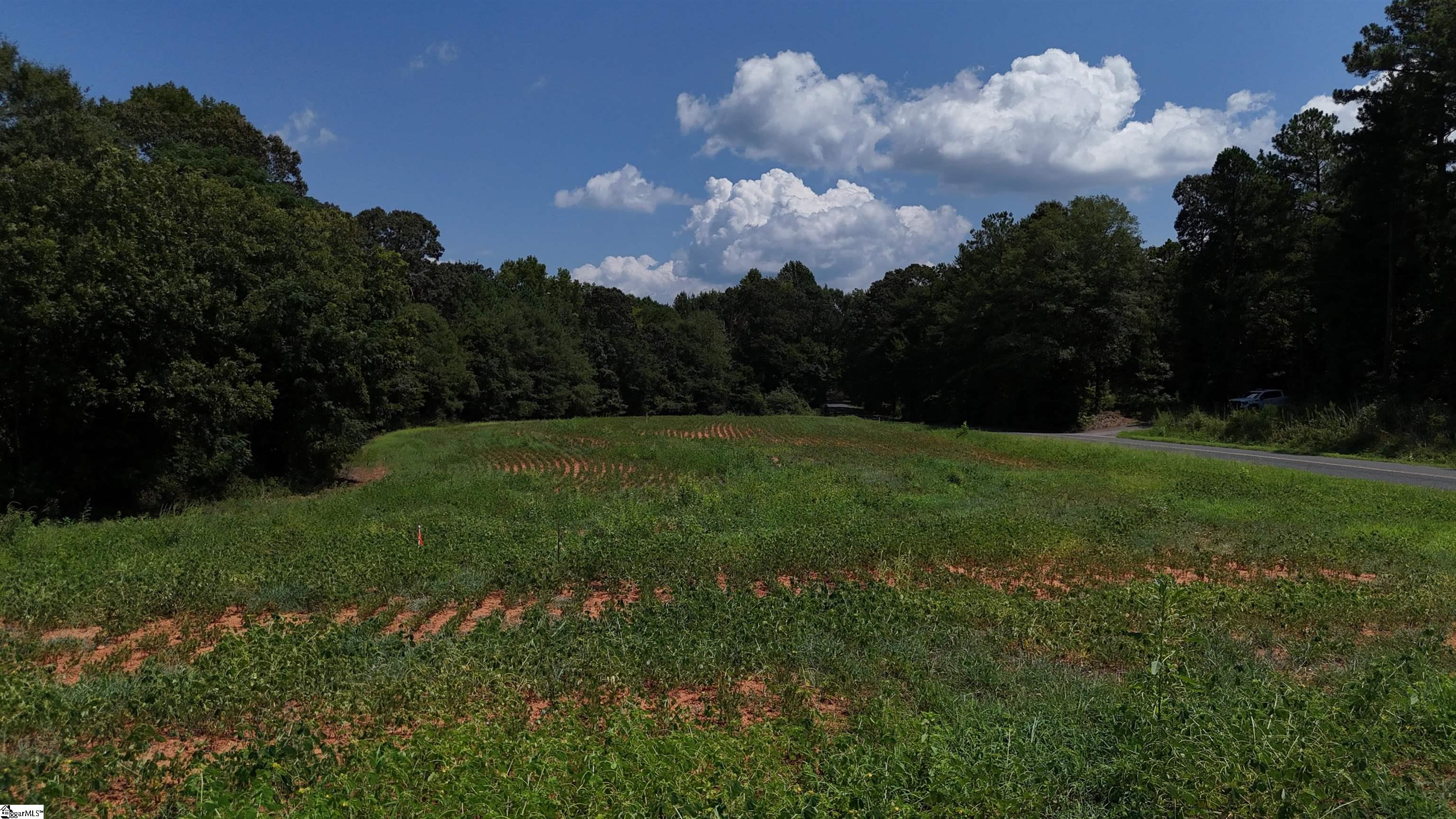12 Fred Dobbins Road Townville, SC 29689 - Photo 8 of 19 Gallery Image 8