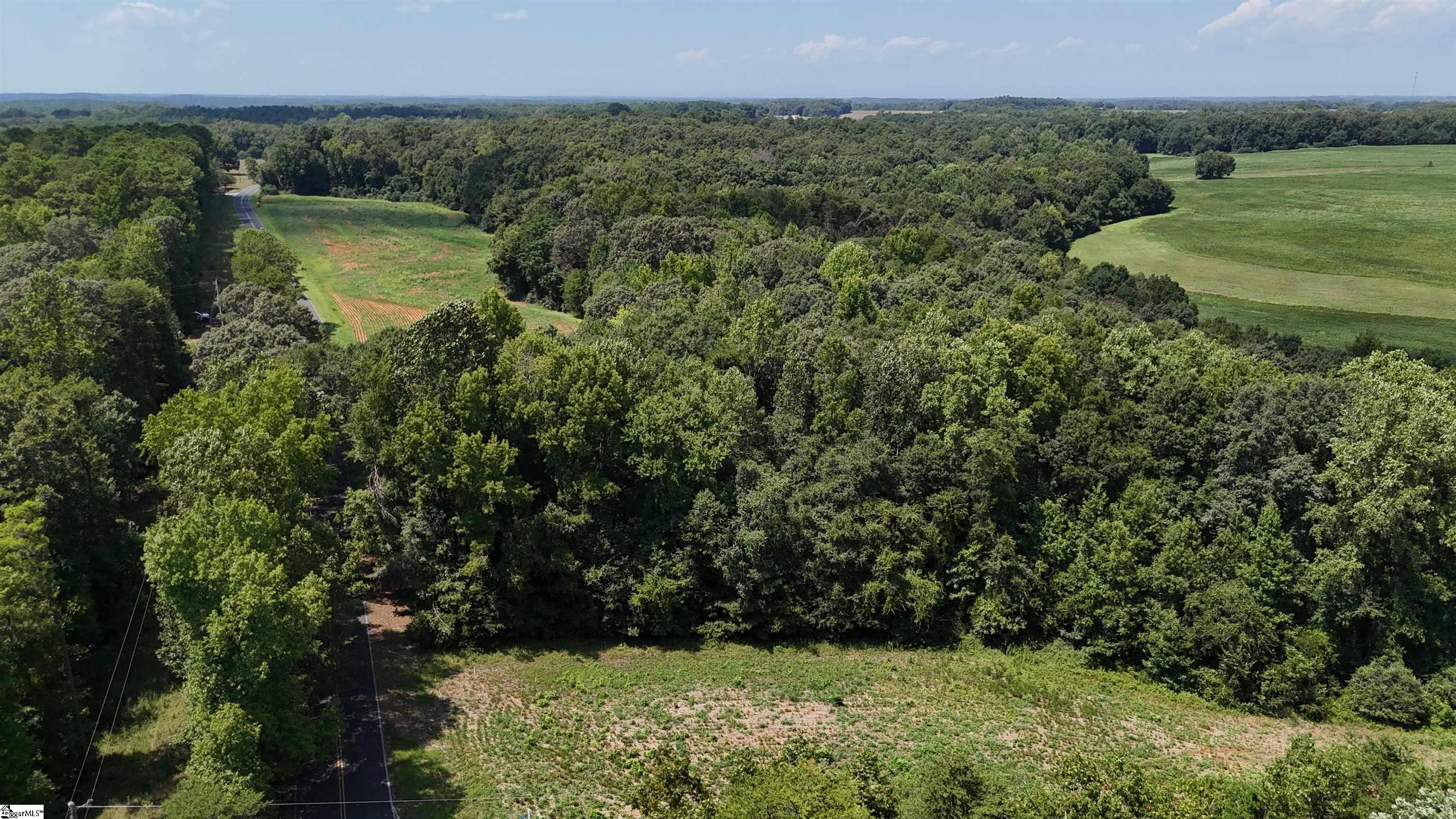 12 Fred Dobbins Road Townville, SC 29689 - Photo 9 of 19 Gallery Image 9