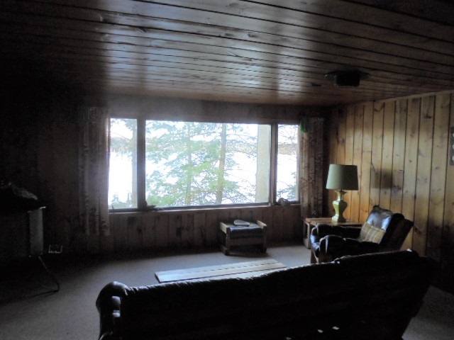 3781 Chrivia Road Lupton, MI 48635 - Photo 21 of 38 1840989-20.JPG