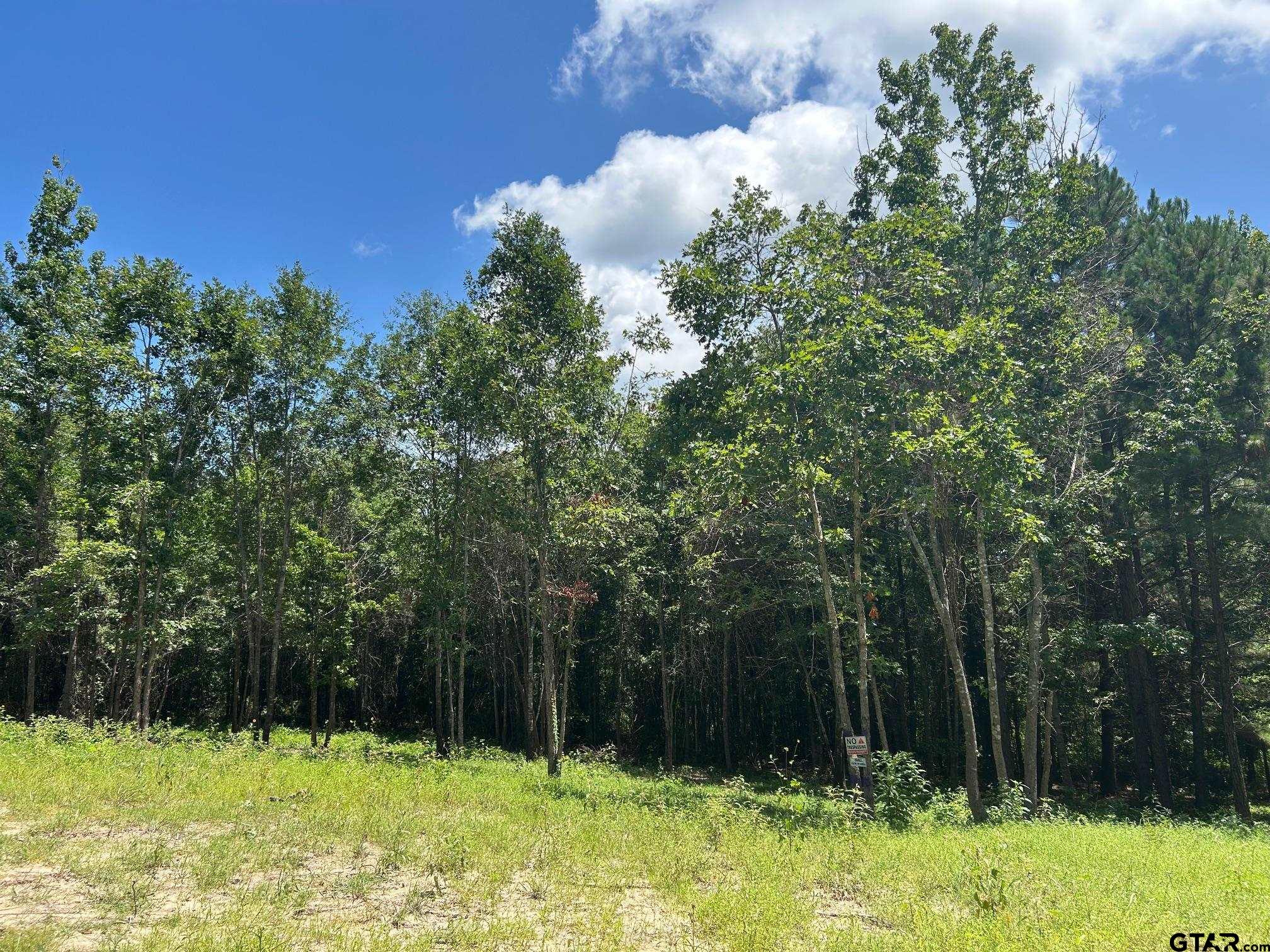 a view of backyard with green space