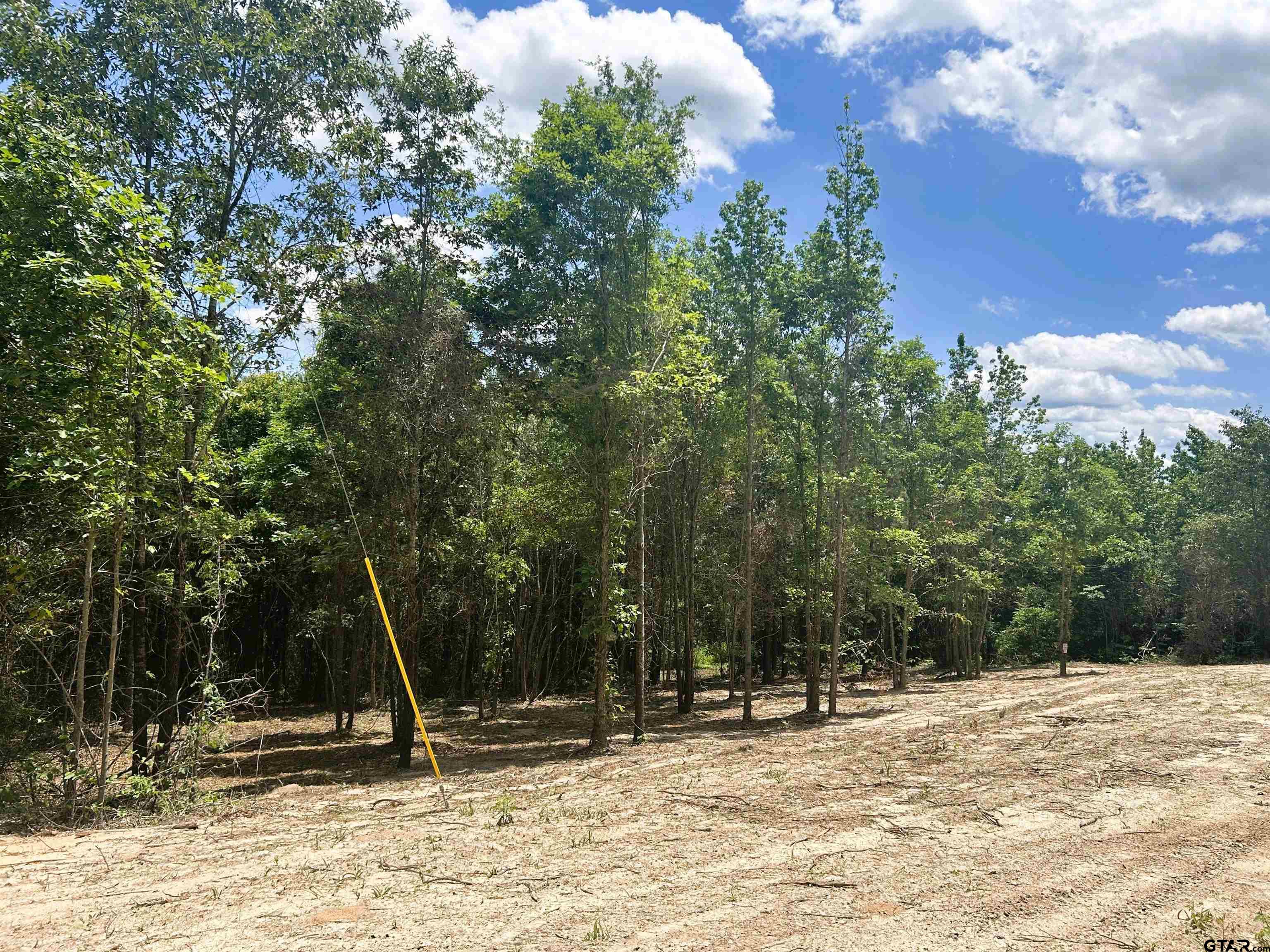 7475 County Road 378 Henderson, TX 75654 - Photo 12 of 21 a backyard of a house with lots of green space