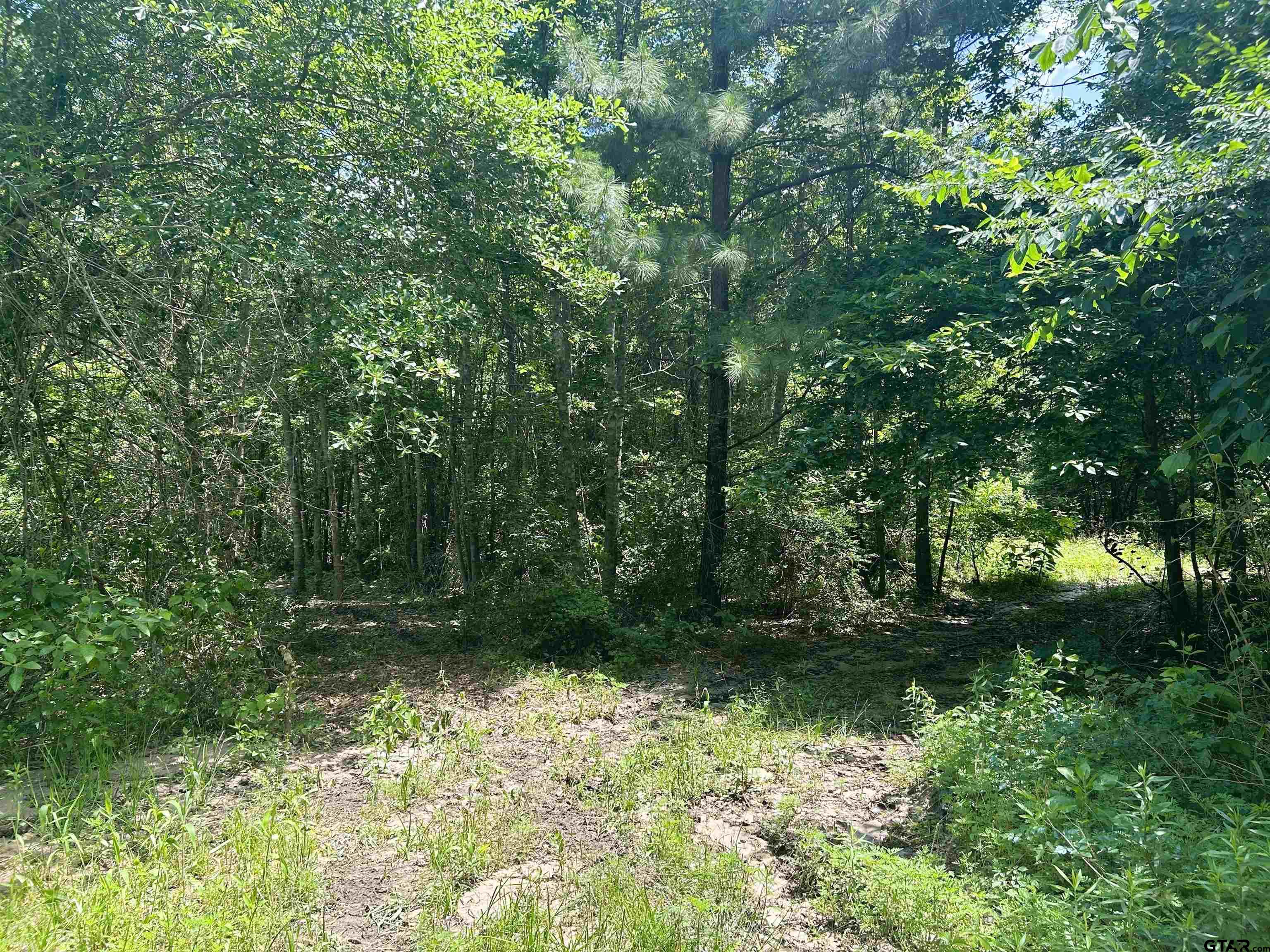 7475 County Road 378 Henderson, TX 75654 - Photo 14 of 21 a view of a yard
