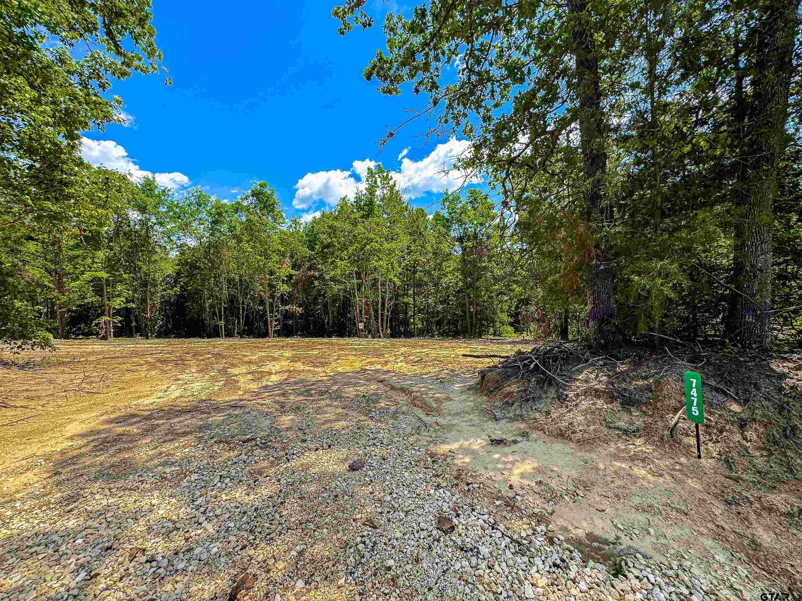 7475 County Road 378 Henderson, TX 75654 - Photo 3 of 21 a view of a yard with a tree