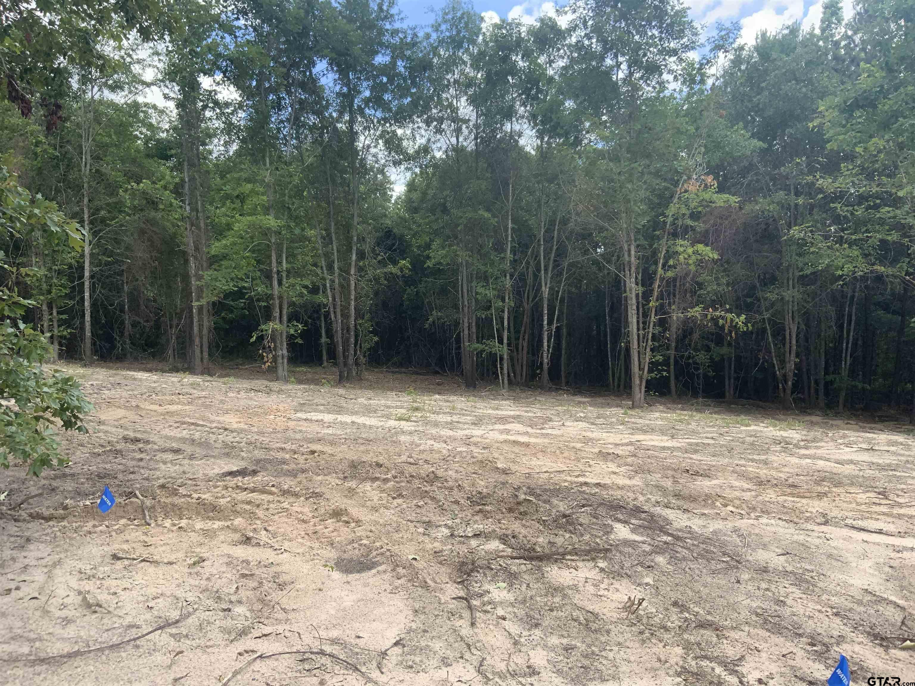 7475 County Road 378 Henderson, TX 75654 - Photo 5 of 21 a view of outdoor space and yard
