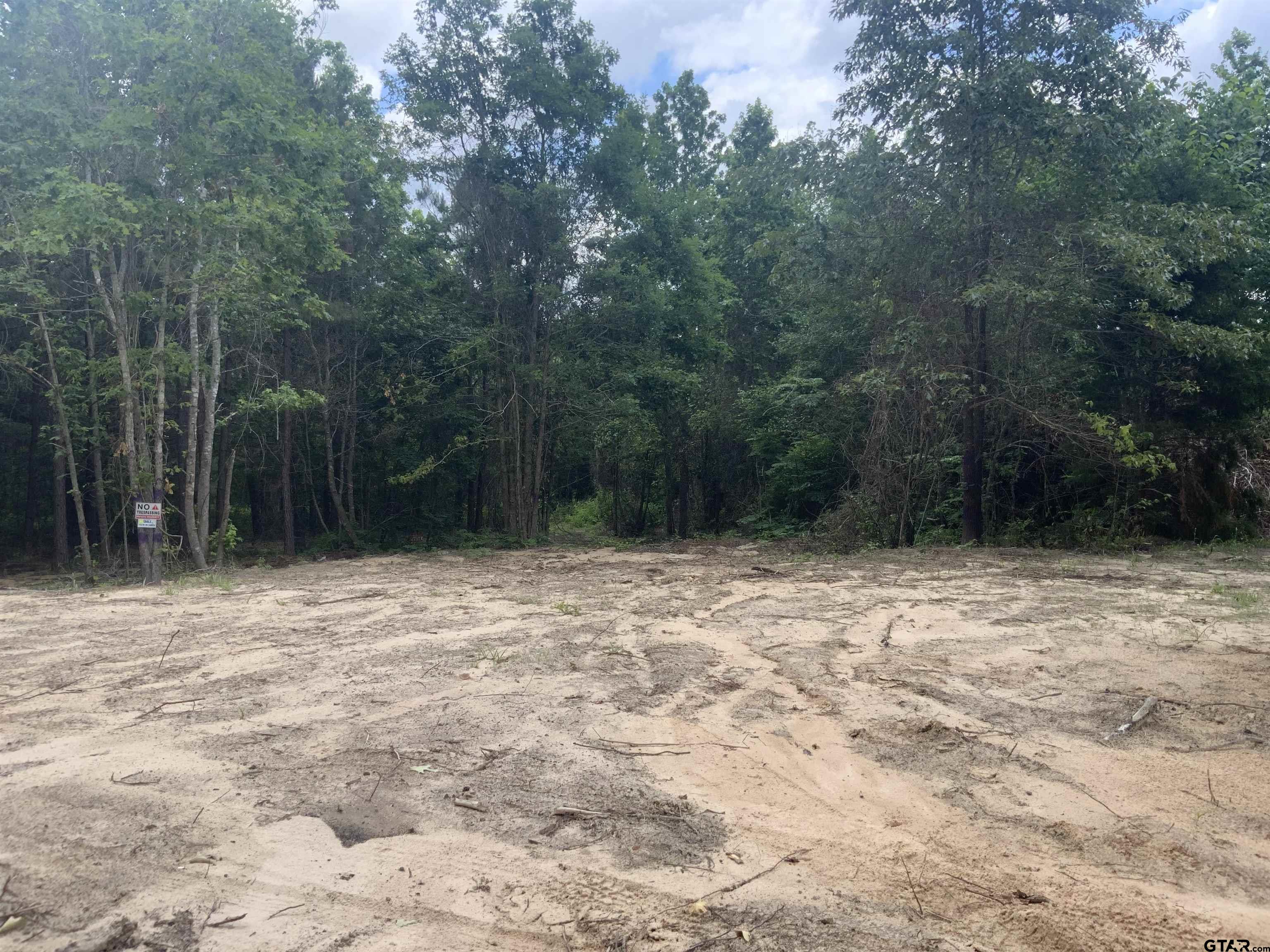 7475 County Road 378 Henderson, TX 75654 - Photo 6 of 21 a backyard of a house with lots of trees