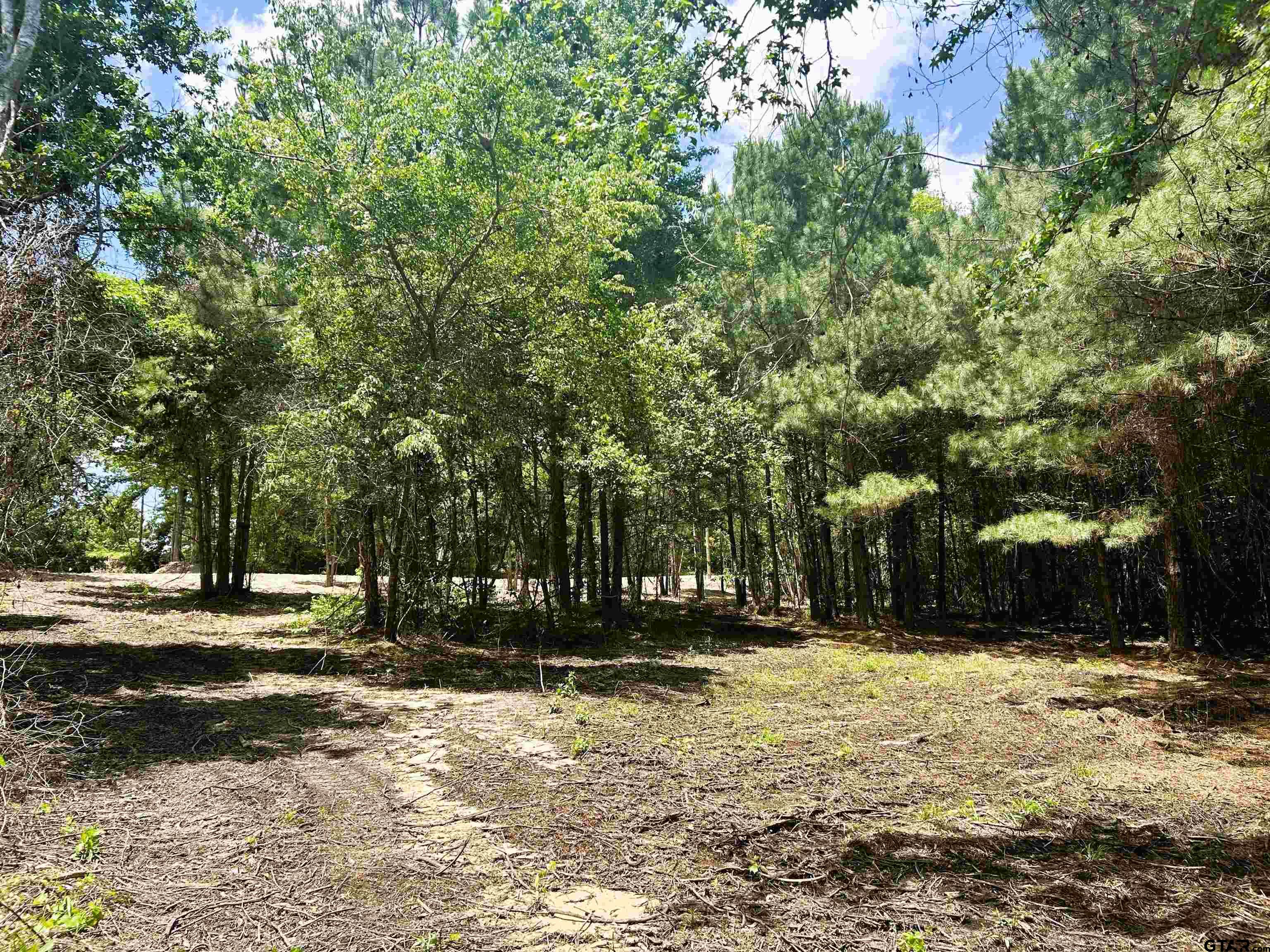 7475 County Road 378 Henderson, TX 75654 - Photo 7 of 21 a view of road with trees