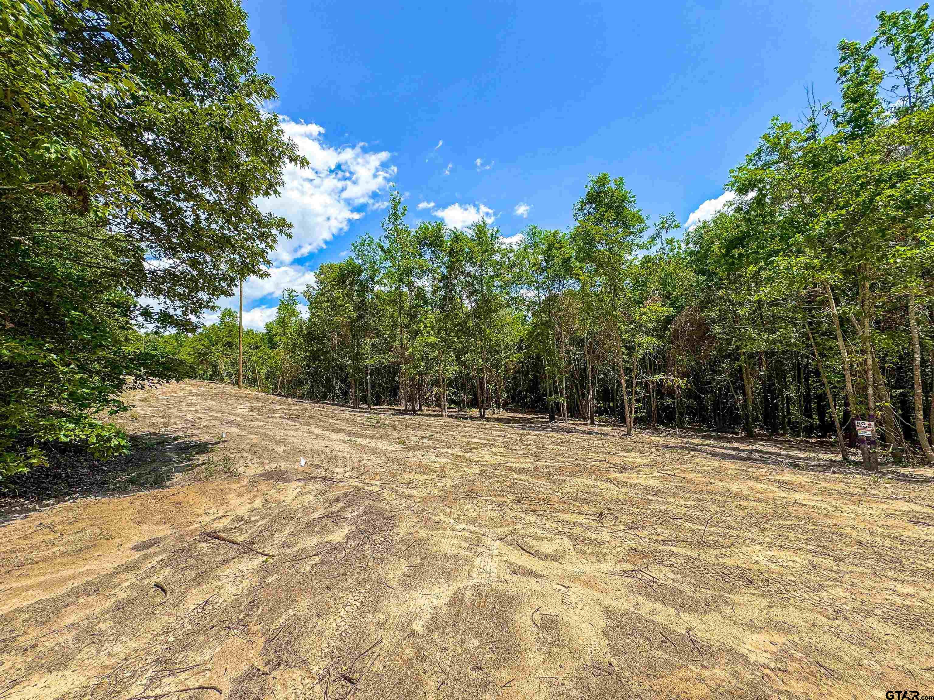 7475 County Road 378 Henderson, TX 75654 - Photo 8 of 21 a view of empty room with tree s