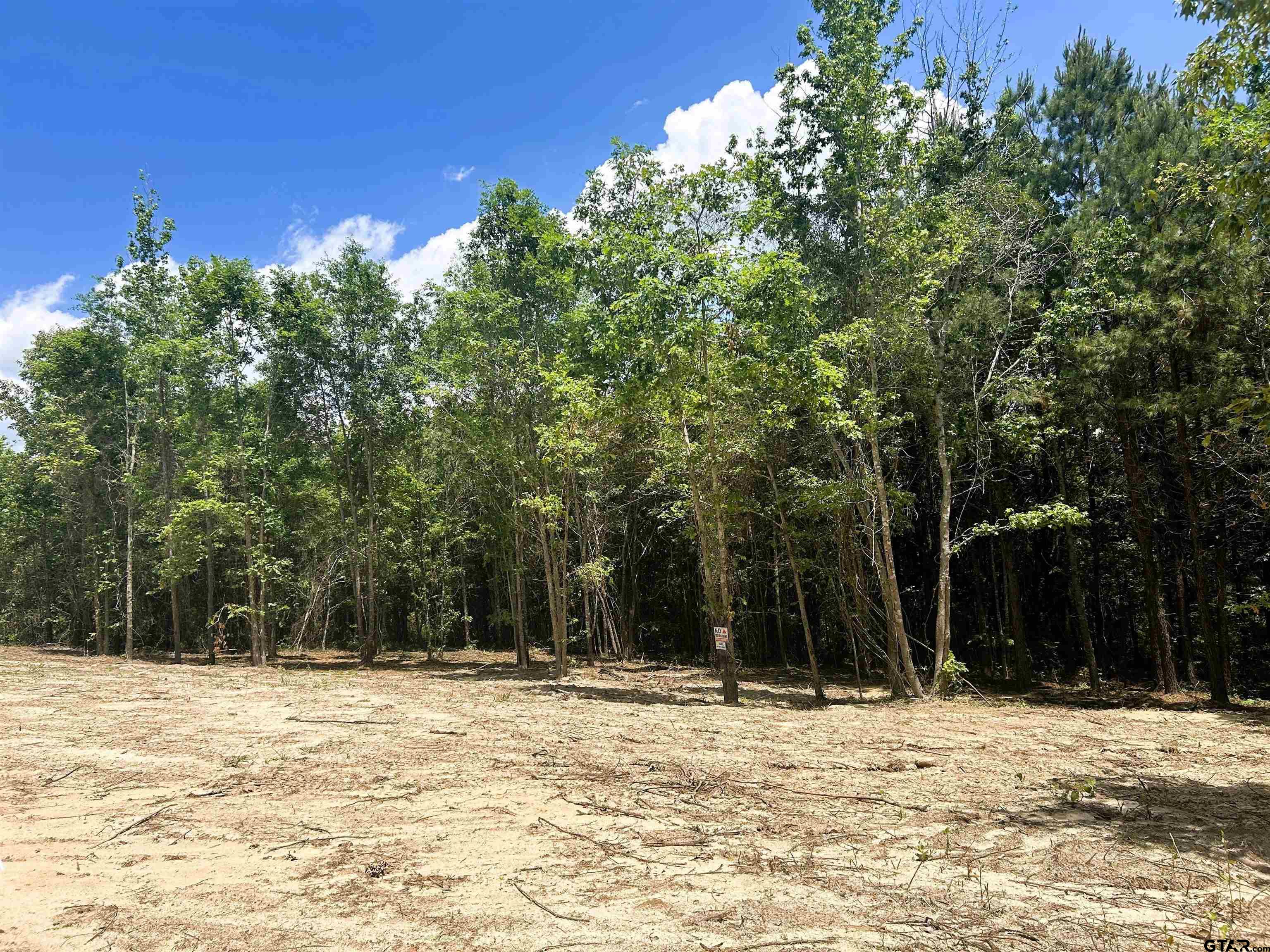 7475 County Road 378 Henderson, TX 75654 - Photo 10 of 21 a view of a house with a yard