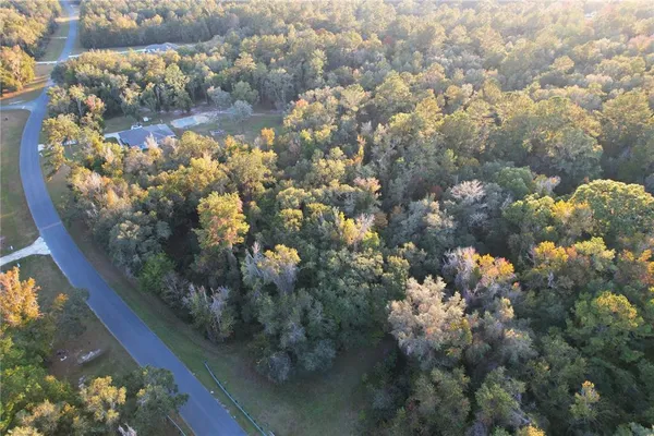 a view of a green yard