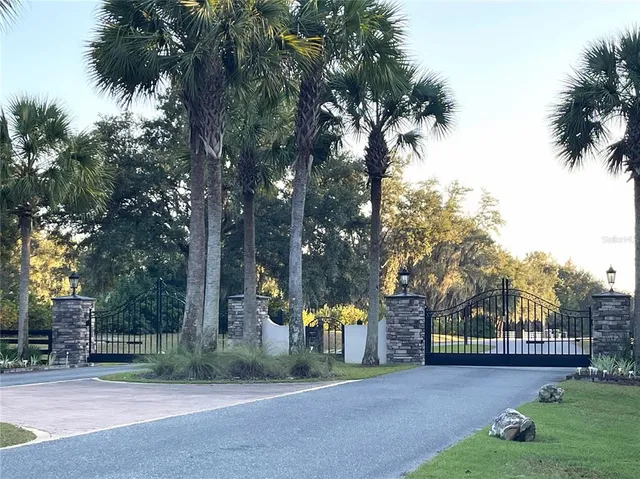a view of a park with a large trees