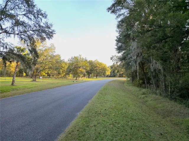 a view of road with large trees
