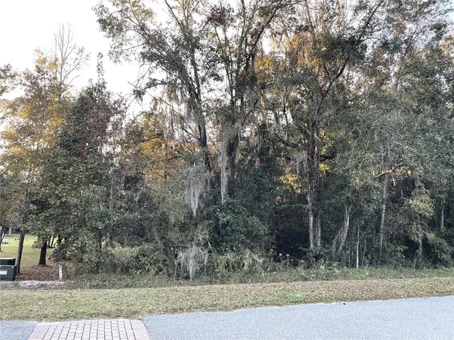 a view of a yard with large trees