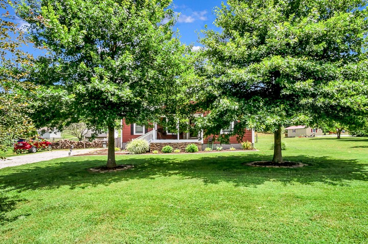 148 Thomas Road Livingston, TN 38570 - Photo 35 of 38 a view of a backyard with large trees