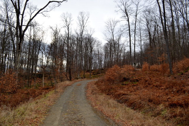Lot 4 Hawk Ridge Saranac Lake, NY 12983 - Photo 2 of 14 Gallery Image 2