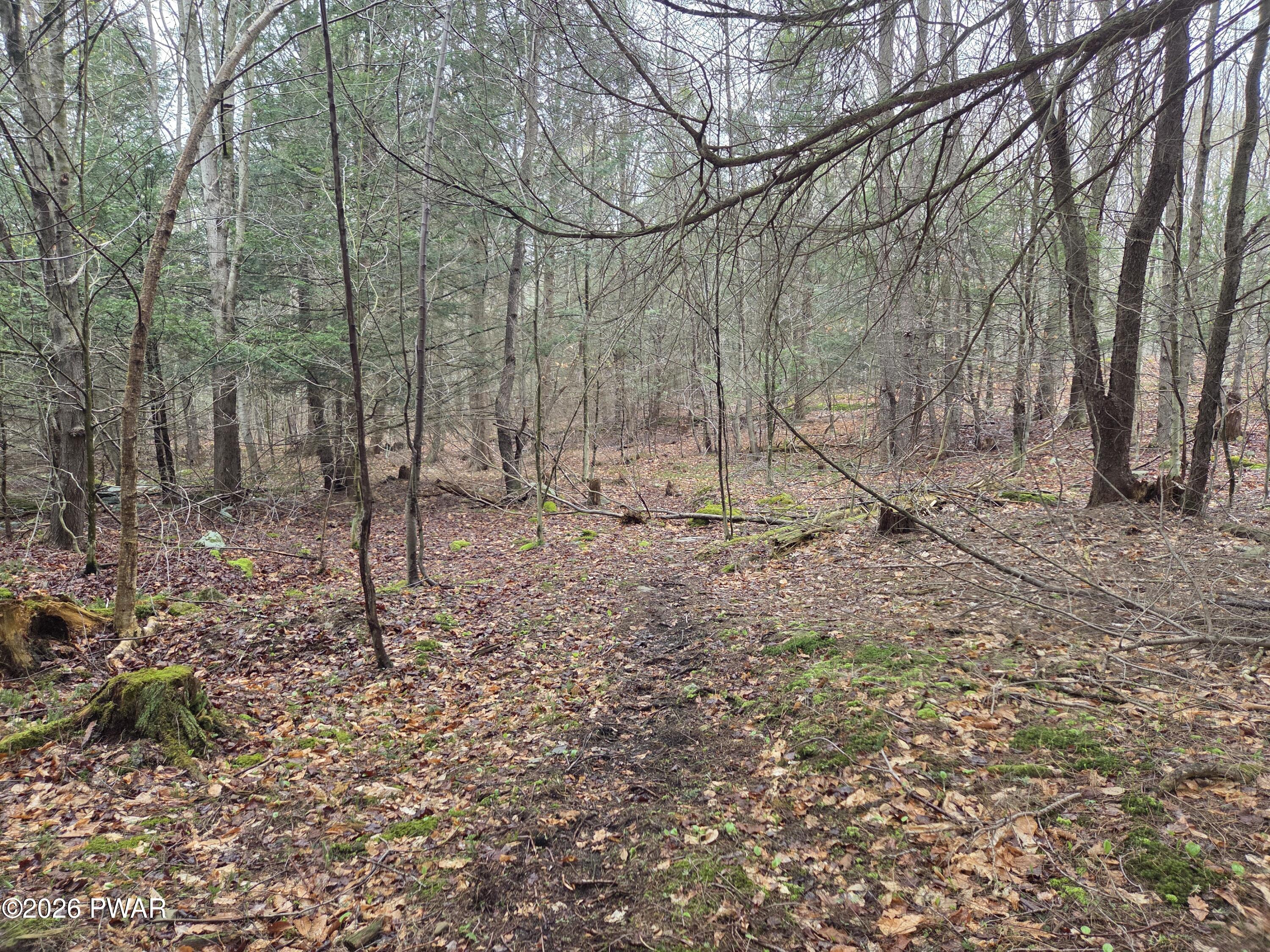 Lake Spangenberg Road Lake Ariel, PA 18436 - Photo 5 of 22 Deer Trails