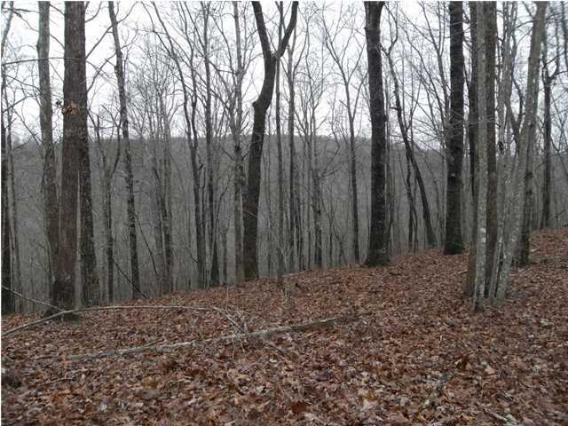 2 Mcneieces Ridge Road Crossville, TN 38572 - Photo 3 of 9 Additional Photo