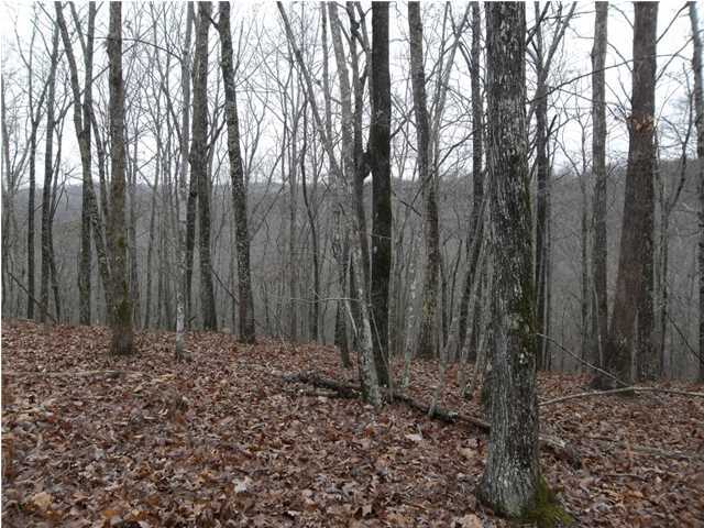 2 Mcneieces Ridge Road Crossville, TN 38572 - Photo 5 of 9 Additional Photo