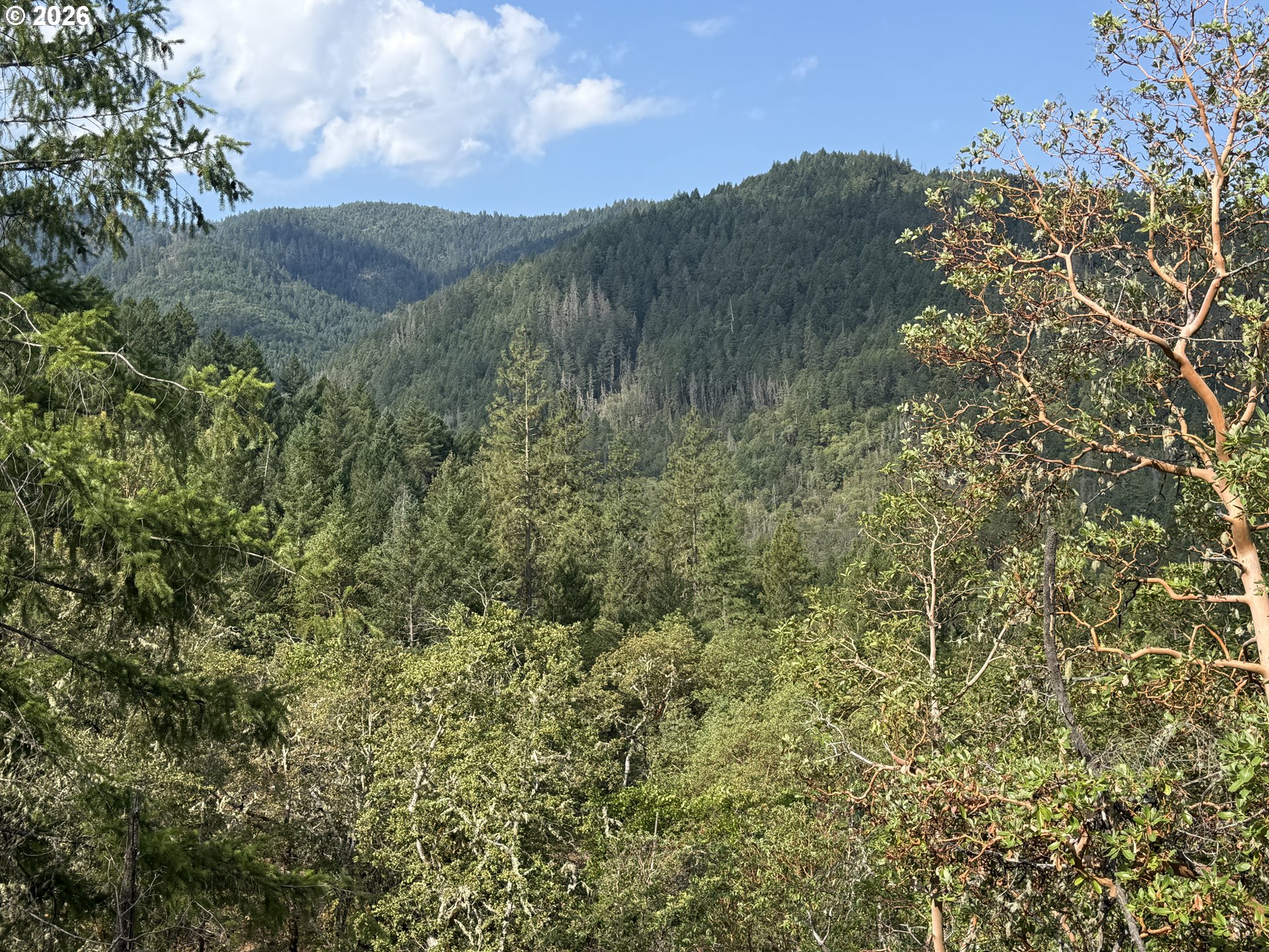 Savage Cr Road Grants Pass, OR 97527 - Photo 5 of 11 Gallery Image 5