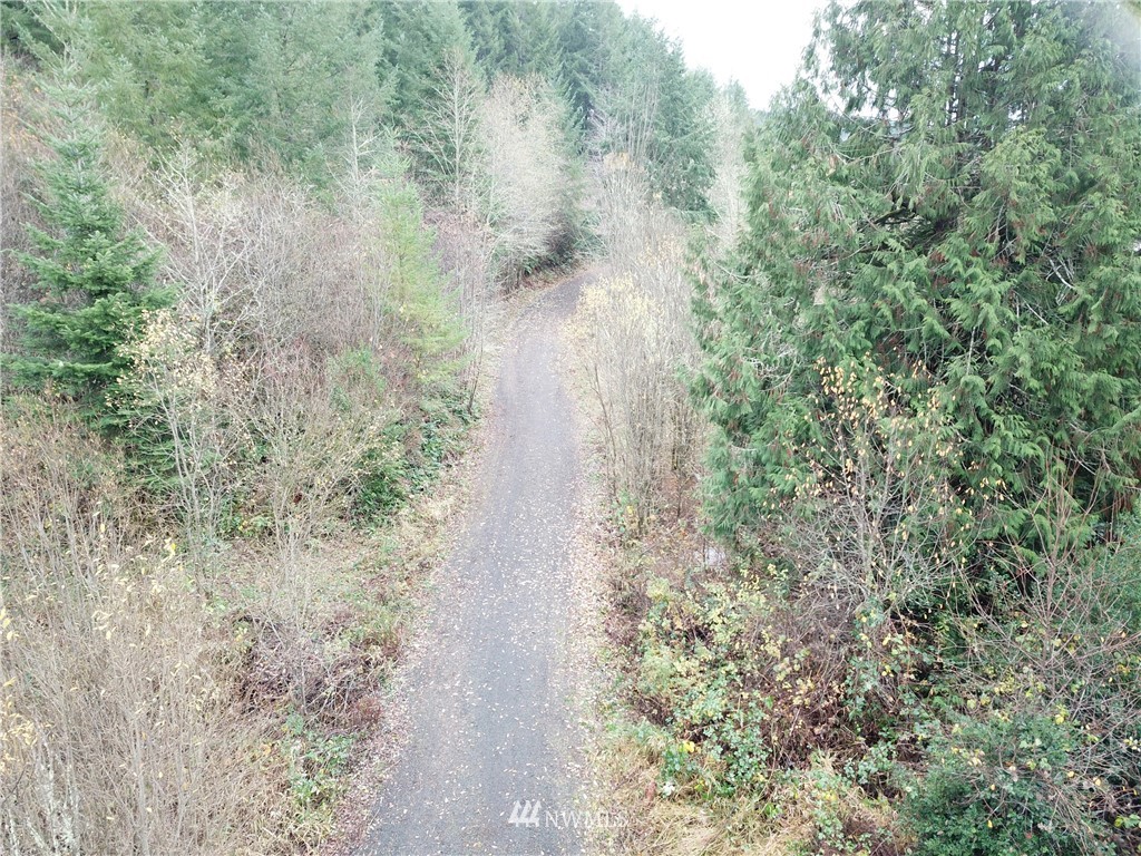 132 Roe Road Winlock, WA 98596 - Photo 5 of 21 a view of a forest that has a tree
