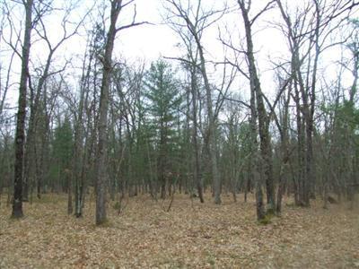 7731 6 Mile Bridge Road Manistee, MI 49660 - Photo 16 of 16 Additional Photo