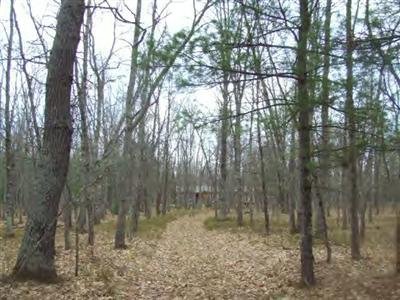 7731 6 Mile Bridge Road Manistee, MI 49660 - Photo 2 of 16 Additional Photo