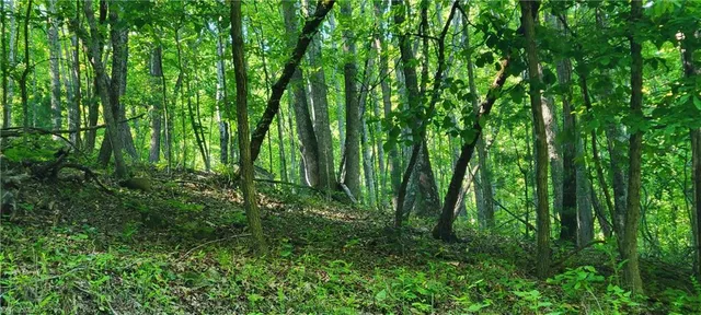 $39,000 | 0 Carter Mountain, Unit LOT 26, Hays, NC 28635