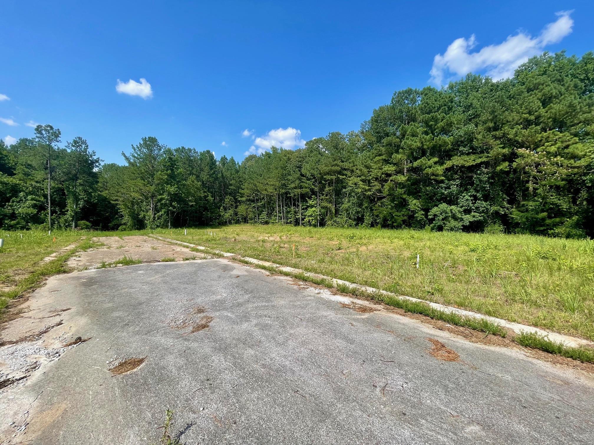 All Lots Graham Ridge Road Iuka, MS 38852 - Photo 4 of 5 View of street
