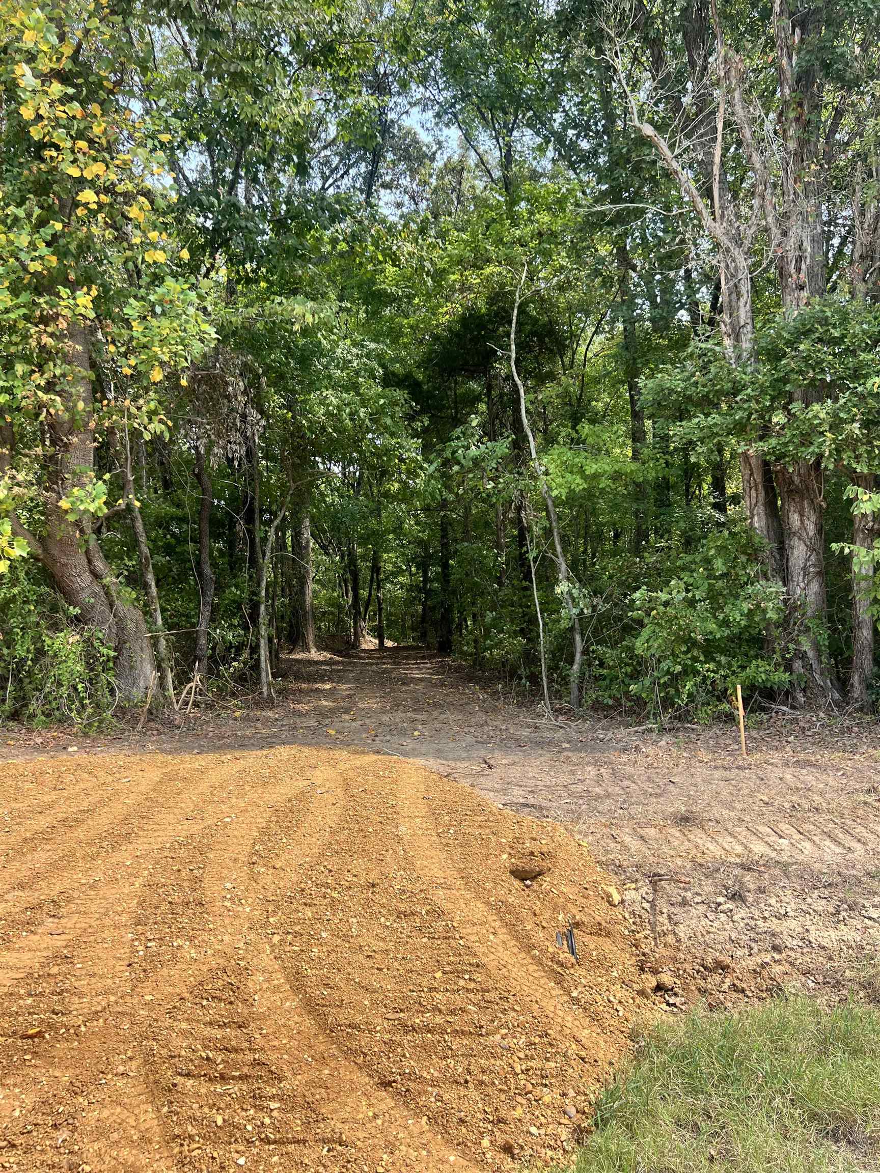 6 Andrew Road Mason, TN 38049 - Photo 4 of 11 a view of a yard with trees