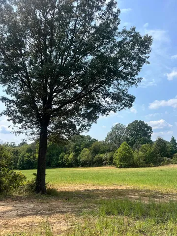 a view of a field with a tree in the background
