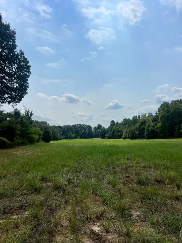 a view of field with grass and trees