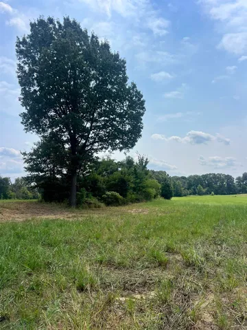 a view of a field of grass and trees