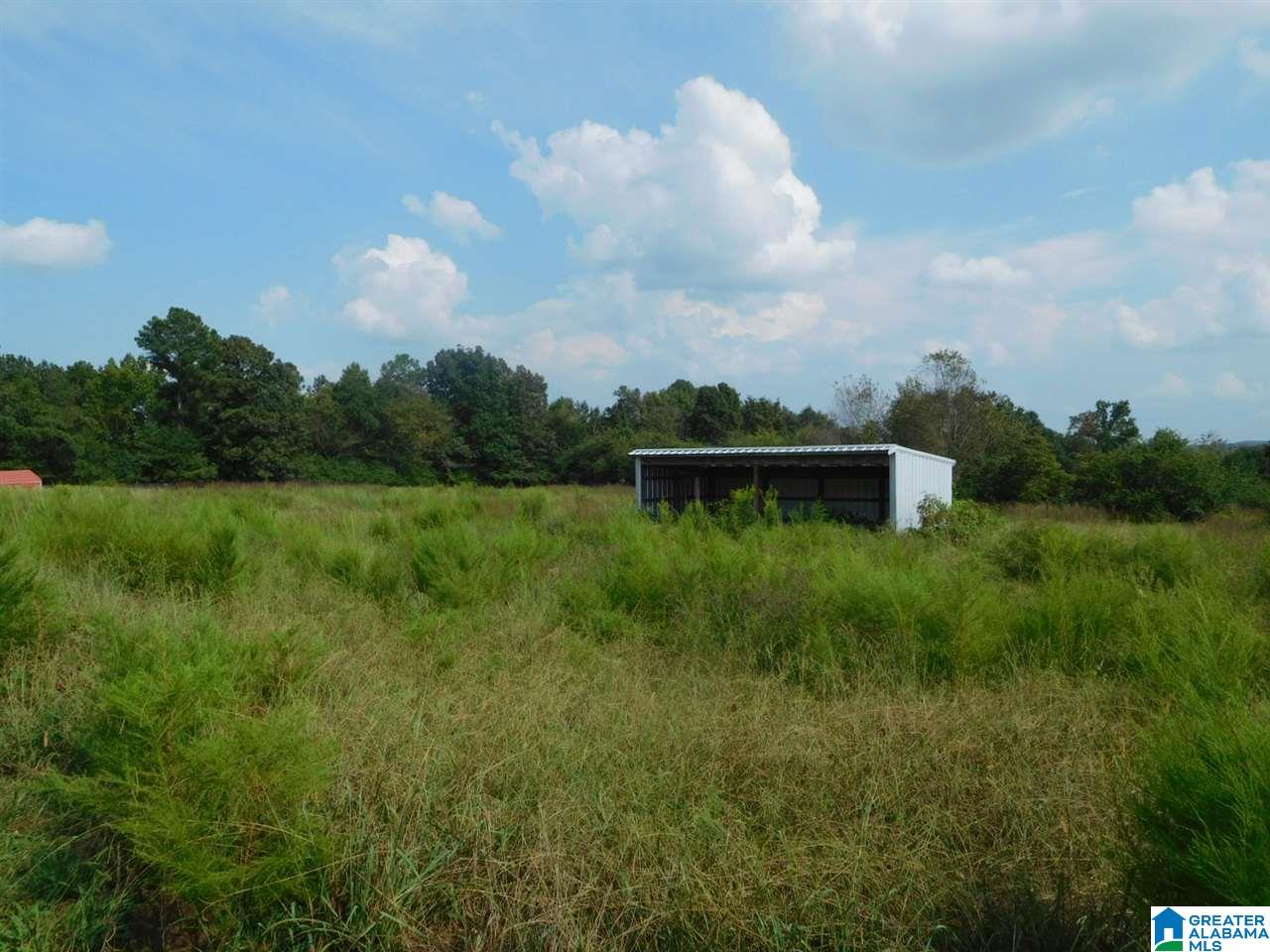 2390 Roswell Creek Road Blountsville, AL 35031 - Photo 14 of 18